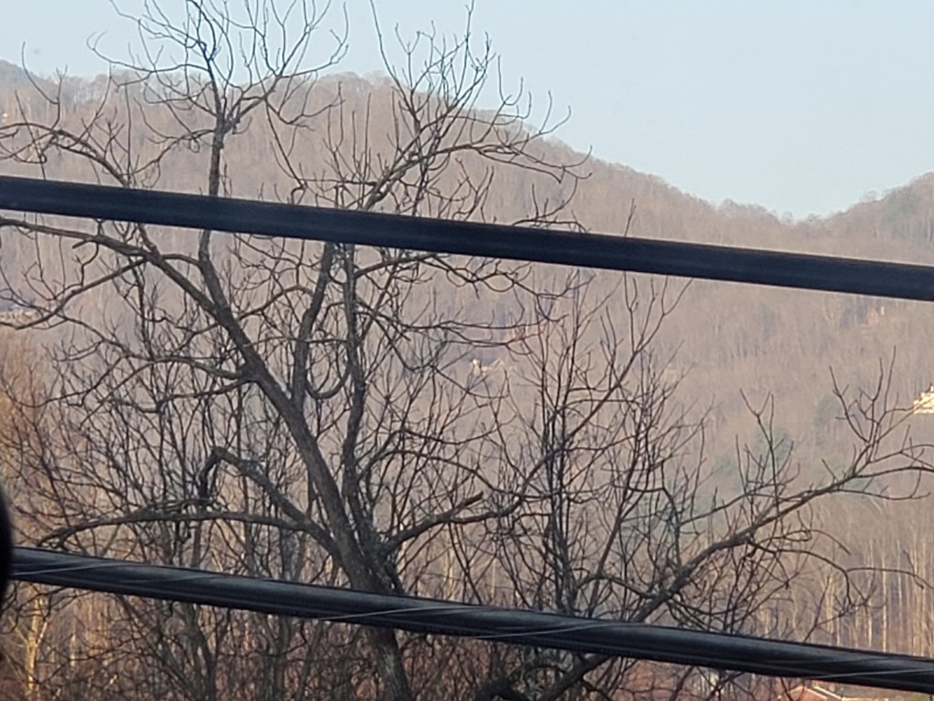 “I see your mom perfectly, but where are&nbsp;you?”